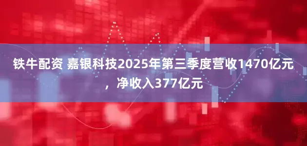 铁牛配资 嘉银科技2025年第三季度营收1470亿元，净收入377亿元